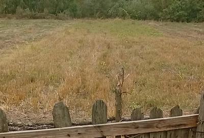 Casa+Teren de Vanzare comuna Negomir sat Raci - 2