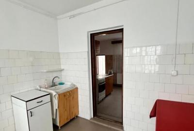 Spatiu comercial multifunctional, 1592 mp, Cacica (Pirtestii - 10