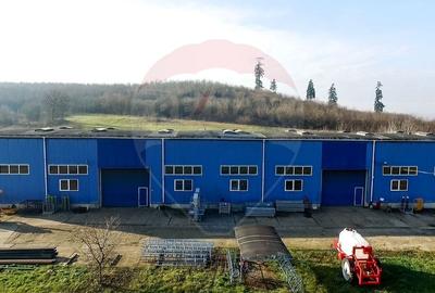 Teren industrial de vânzare - 18.820 mp+proiect de extindere, Bonțida - 5