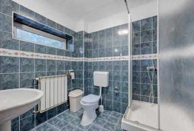 Vila de vanzare Domenii-Ion Mihalache Vila de vanzare Domenii-Ion Mihalache - 17