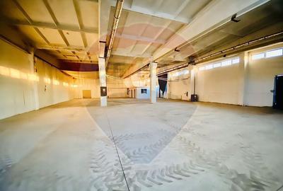 Spa?iu industrial 646 mp la Bulevard - 5