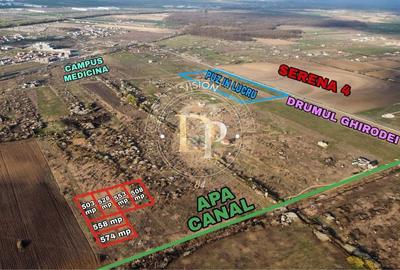 Spațiu comercial, în Moșnița Veche - 2