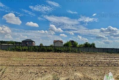 Teren de vanzare lotizat la padure cu utilitati in Frumusani / Calarasi