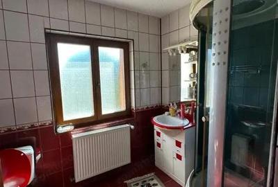 Vanzare proprietate impunatoare, strada Bujorului - cartier Primaverii - 7