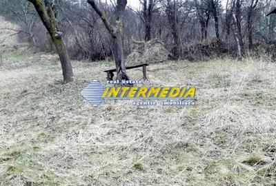 Teren de 1450 mp, în Central