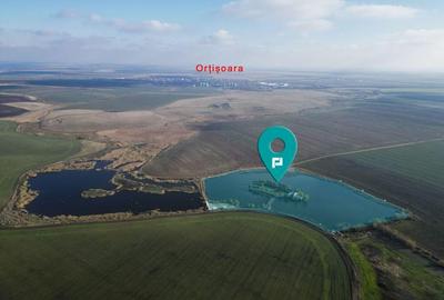 Pescarie cu restaurant - 2