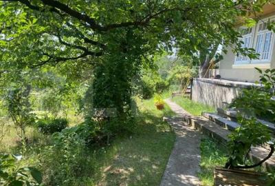 Casă cu 2 camere cu Teren 9500 Mp în Sacoșu Mare - 4