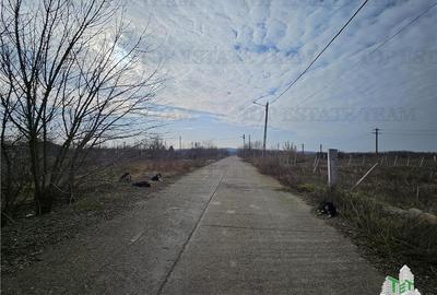 Teren intravilan Harsova - 3