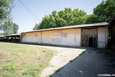 Spațiu comercial, de 3,139 mp, în Răducăneni - 6