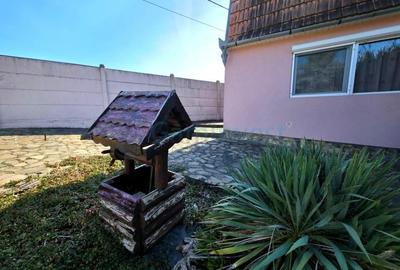 Casă individuală cu 5 camere cu Canalizare în Felcheriu - 2