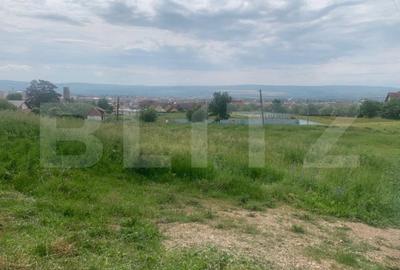 Teren de 1005 mp, în Cetate