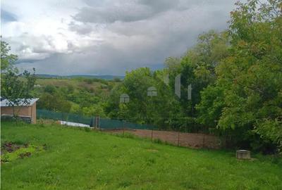 Casă cu 2 camere cu Canalizare în Lunca Cetățuii - 11