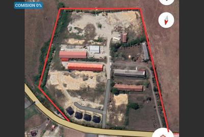 Teren de  vanzare in Grosi: 50.000 mp - 1