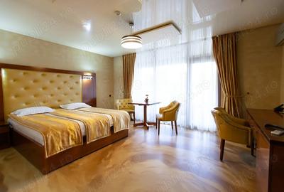 Inchiriez Apartament cu o camera Zona Terra Clinique - 5