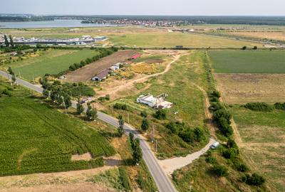 Teren de 30.000 mp în Cernica – pentru Dezvoltare Rezidențială sau Industriala - 11