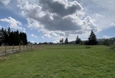 Spațiu comercial, în Șaru Dornei - 3