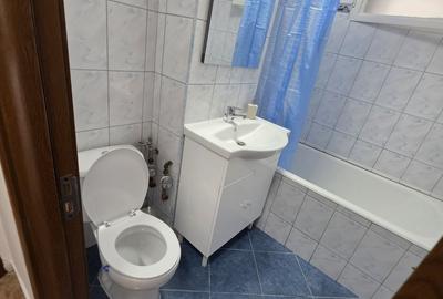 Apartament cu 3 camere decomandat în Giurgiului - 8