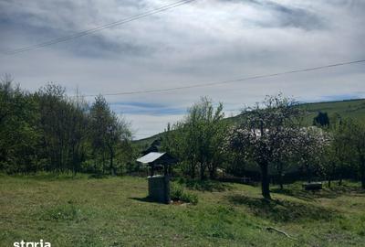 Casă cu 3 camere cu Teren 10632 Mp în Unirii - 14