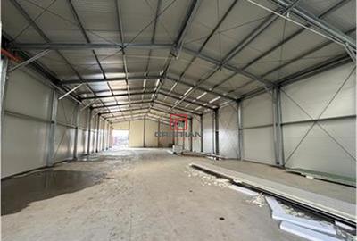 Depozit/hala/spatiu industrial/parc logistic Jilava - Giurg - 10