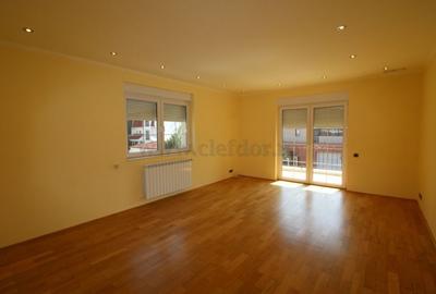 Vila Individuala de Inchiriat in Zona Iancu Nicolae - 7