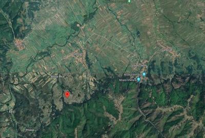 Teren de 3700 mp, în Dalboșeț - 1