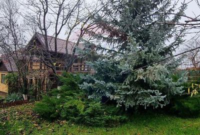 Casă cu 8 camere cu Teren 1000 Mp în Belciugatele - 11