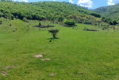 Teren extravilan 3408 mp in Gura Raului - 3