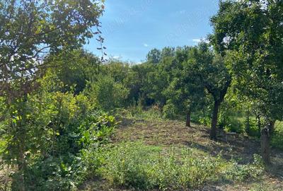 Casa de vanzare Ciumbrud Casa de vanzare Ciumbrud - 8