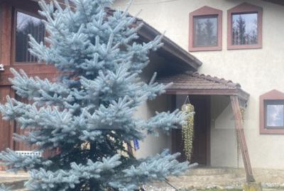 Vila in stil elve?ian Campulung Moldovenesc, 155 mp - 27