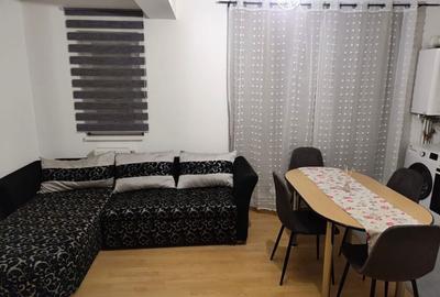 Apartament cu 2 camere semidecomandat în Ștrand - 2