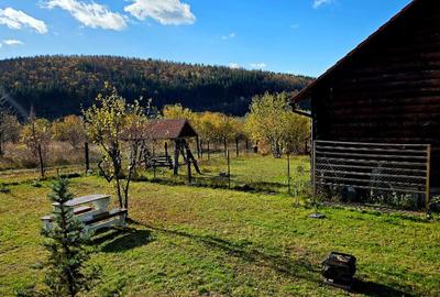 Casa in Moac?a cu vedere la Lacul Padureni - 14
