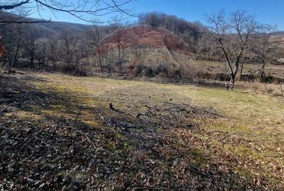 Teren Construcții intravilan de 4985 mp, în Sascut - 9