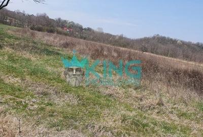 Teren Construcții intravilan de 3500 mp, în Albota