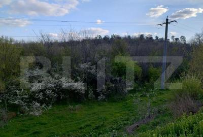 Teren de 99930 mp, în Central