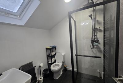 Apartament tip duplex,et.1+mansarda,3 dormitoare,2 bai,Popas Pacurari,cod:160956 - 18