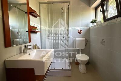 Casă individuală cu 6 camere cu Canalizare în Crișan - 28