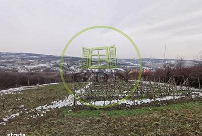 Casă cu 2 camere în Sântandrei - 2