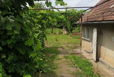 Vand casa in Turda noua..!!520mp - 1