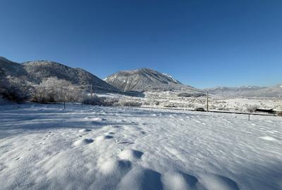 Teren intravilan 500 sau 1000 mp Bran-Tohanita la dum asfaltat - 15