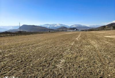 Teren de 2800 mp, în Turnu Roșu - 10