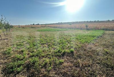 Teren extravilan, Oarda de Jos, 2072 mp, parcele intre 500-5 - 2