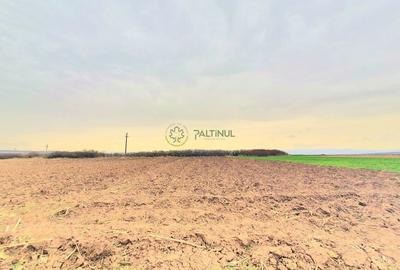 1174 mp în Ocna Sibiului - Teren Intravilan de Vis - 3