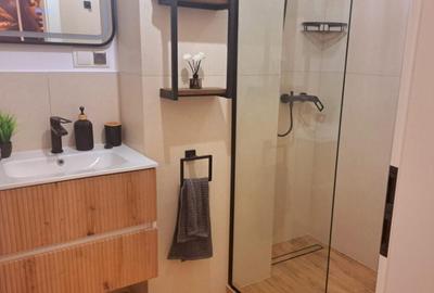 Apartament cu 2 camere semidecomandat în Vasile Alecsandri - 9