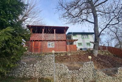 Casă cu 4 camere în Vârfuri - 4