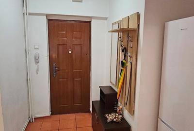 Vand apartament 2 camere Titan parc IOR/Mall Park Lake - 9