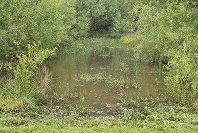 Casă cu 3 camere în Onești