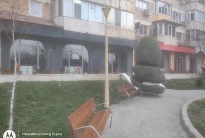 Spațiu comercial, de 86 mp, în Delfinariu - 1