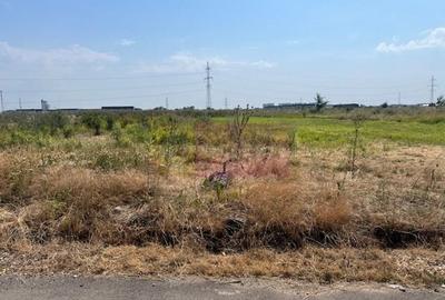 Teren Domnesti- Fortului. - 3