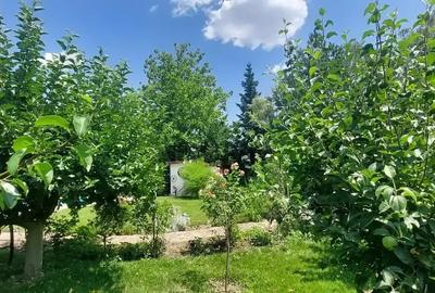 Vila cu 8 Camere Corbeanca | Piscina | Semineu | Sauna | Curte 2300mp - 6