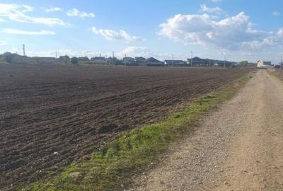 Teren intravilan 16.608 mp – 1 Decembrie, Ilfov | Deschidere 60 mp - 4